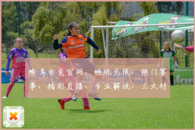 蜂鸟电竞官网，畅玩无限，热门赛事，精彩直播，专业解说，三大特色，一网打尽